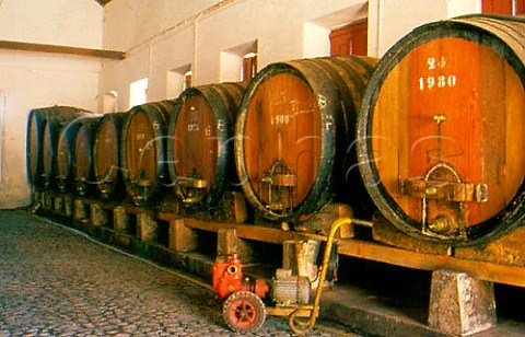 Barrel room at Tavares  Rodrigues   Colares Portugal