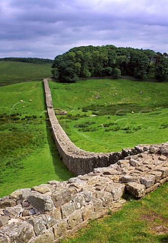 Hadrians Wall Northumberland England