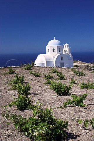 Chapel of Saint Athena and small vineyard above Mesa Pigadia Bay   near Akrotiri Santorini Cyclades Islands Greece