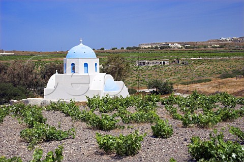 Aghios Anna Church amidst the vineyards between   Emporio and Akrotiri Santorini Cyclades Islands   Greece