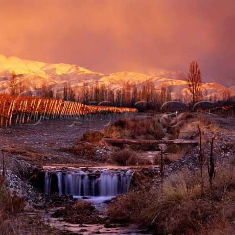 Irrigation channel in Adrianna vineyard of Catena Zapata at an altitude of around 1500 metres with the Andes beyond Gualtallary Mendoza Argentina  Tupungato