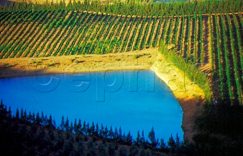 Vineyards and irrigation reservoir of   Morgenster Estate Somerset West   Stellenbosch South Africa