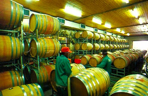 Filling barrels with Merlot in the   cellar of Meerlust winery Stellenbosch   South Africa