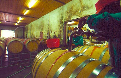 Filling barrels with Merlot in the   cellar of Meerlust winery Stellenbosch   South Africa