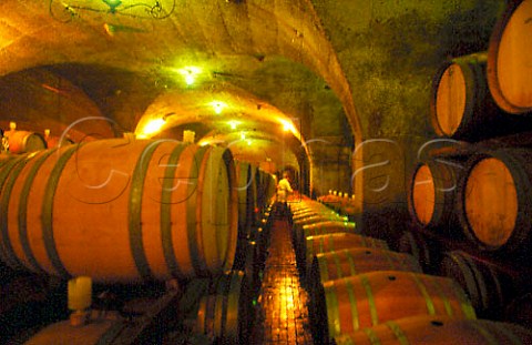 Barrel cellar of Cape Chamonix Paarl   South Africa