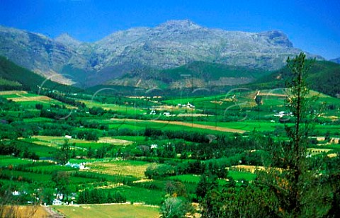 View over the Franschhoek Valley Paarl   South Africa