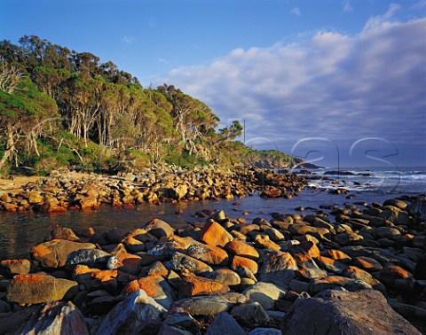 Leatherjacket Bay at sunrise Ben Boyd National   Park New South Wales Australia