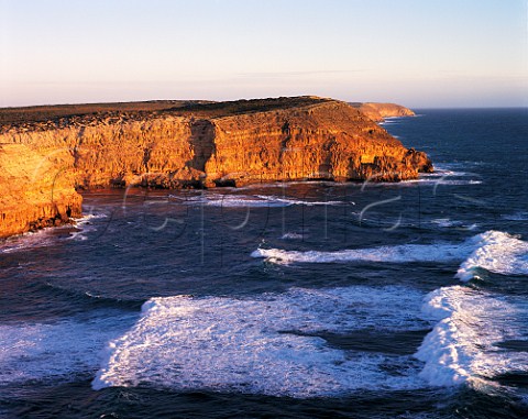 Cliffs at Venus Bay Conservation Reserve   Eyre Peninsula South Australia