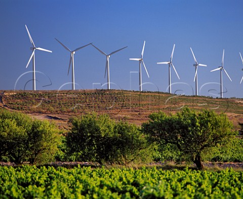 Wind turbines above vineyard some of the thousands erected as part of a European energy conservation project  Cintrunigo Navarra Spain