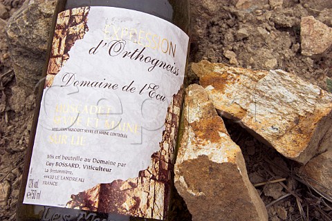 Pieces of Orthogneiss rock by bottle of Expression   dOrthogneiss in vineyard of Guy Bossard Domaine de   lEcu    Le Landreau LoireAtlantique France     Muscadet de SvreetMaine Sur Lie