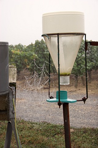 Dew covered spiders web on rain gauge by vineyard   of Chteau du ClraySauvion  Eolie near Vallet   LoireAtlantique France    Muscadet de   SvreetMaine