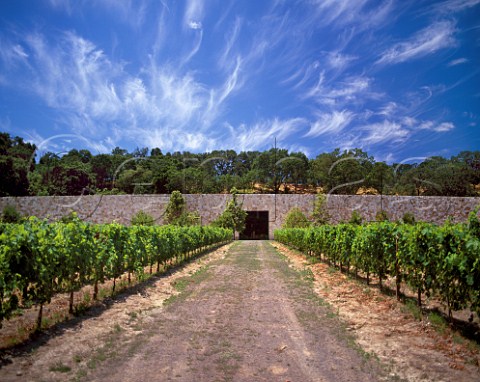 Quintessa Winery and vineyard Rutherford Napa Valley California