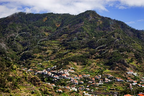 Vineyards and mixed agriculture on terraced hillside   at Ribeira de Machico  Madeira Portugal