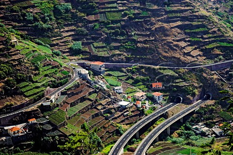 Vineyards and mixed agriculture on terraced hillside   at Garachico with the new rapida expressway below    Cmara de Lobos Madeira Portugal