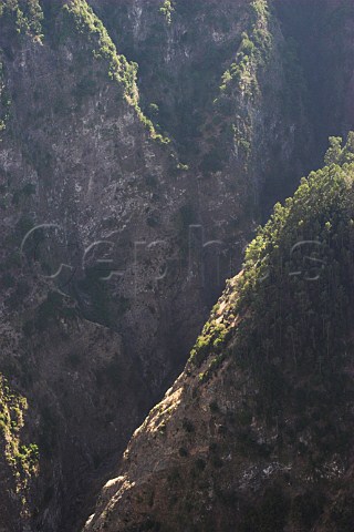 Steep sided valleys in the Curral das Freiras   Nuns Refuge in the heart of Madeira  Portugal