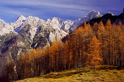 Kranjska Gora mountains in autumn colour near Lake   Bled Slovenia