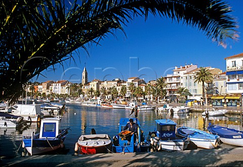 Local fisherman unloading his catch at the harbour   of Sanary sur Mer Cte dAzur France