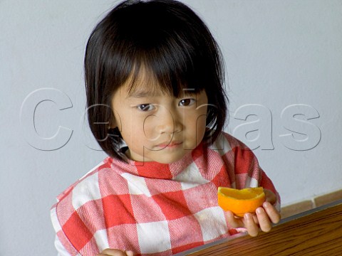 Dark haired oriental kindergarten girl eats her  orange segment in school canteen