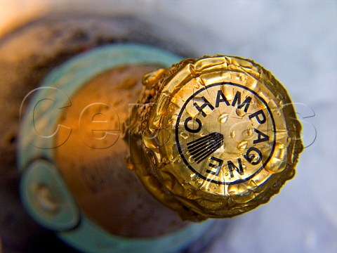 Close view on the gold foil top of a champagne   bottle chilling in an ice bucket