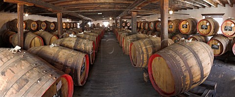Barrels of vintage wine maturing by the natural   Canteiro process in a loft of the Old Blandy Wine   Lodge Arcadas de So Francisco part of the Madeira   Wine Company Funchal Madeira Portugal