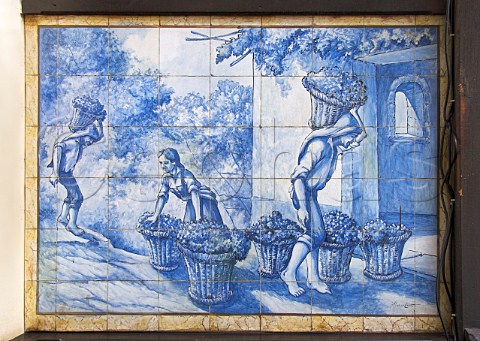 Traditional azulejos tiles depicting vineyard scene   at the Old Blandy Wine Lodge Arcadas de So   Francisco part of the Madeira Wine Company Funchal   Madeira Portugal