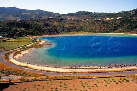 Mirror of Venus a brackish volcanic   lake surrounded by vines   Island of Pantelleria Sicily Italy