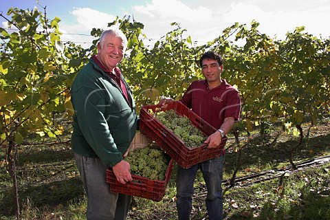 Mike died 2014 and Simon Roberts with crates of harvested   chardonnay grapes  RidgeView vineyard Ditchling   Common East Sussex England