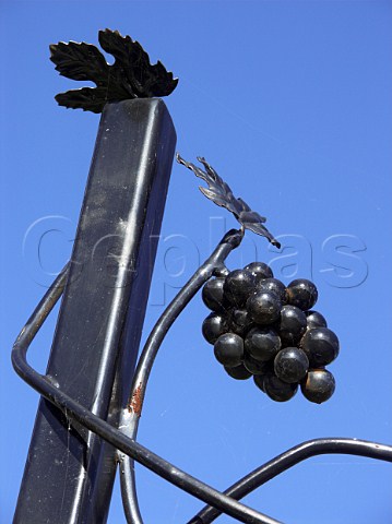 Grape and leaf detail on sign at entrance to   RidgeView vineyard Ditchling Common East Sussex   England