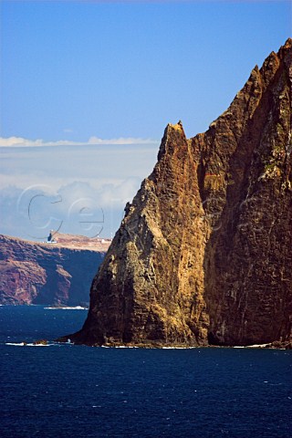 Steep sea cliffs near Porto da Cruz Madeira   Portugal