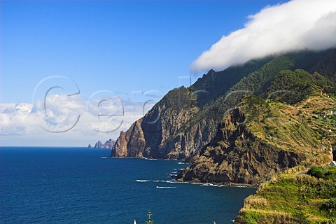Steep sea cliffs near Porto da Cruz Madeira   Portugal