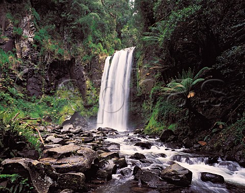 Hopetoun Falls in the Otway Ranges near the Great   Ocean Road Victoria Australia