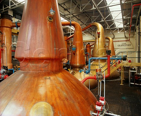Copper pot stills in the main still room of   The Glenlivet whisky distillery Ballindaloch  Banffshire Scotland Speyside