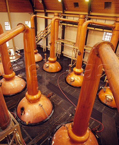 518m swannecked stills  the tallest in Scotland   Glenmorangie whisky distillery Tain Rossshire   Scotland Highland