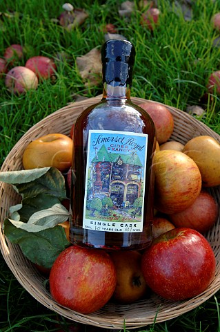 Bottle of 10yearold cider brandy with apples in   orchard of the Somerset Cider Brandy Company     Kingsbury Episcopi Somerset England