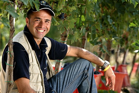 Paolo Bianchini during harvest in vineyard of Tenuta   Ciacci Piccolomini DAragona Castelnuovo dellAbate   near Montalcino Tuscany Italy  Brunello Di   Montalcino