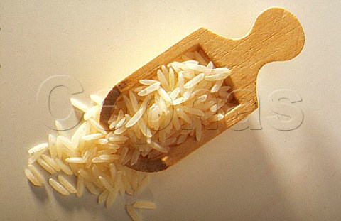 Wooden scoop with rice grains Malaysia