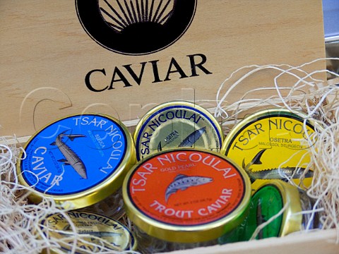 Selection of caviar tins on display at the Tsar Nicoulai caviar shop in the Ferry Building market   place San Francisco California USA