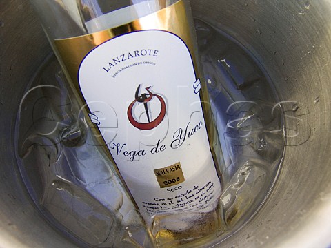 Bottle of Vega de Yuco Malvasia white wine in ice   bucket