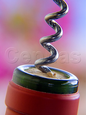 Close up on corkscrew piercing cork in bottle of red   wine with colourful floral background