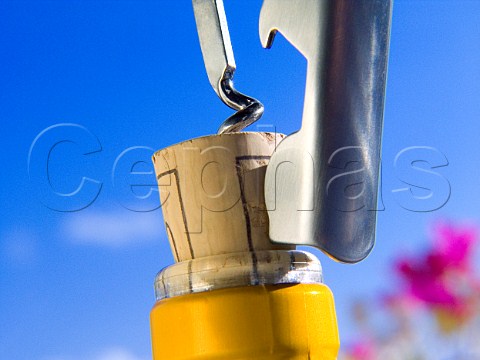 Detail of waiters friend corkscrew piercing a cork in a bottle of white wine with blue sky and flowers behind