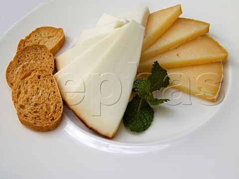 Variety of Manchego cheese and sprig of mint with toasted bread on plate