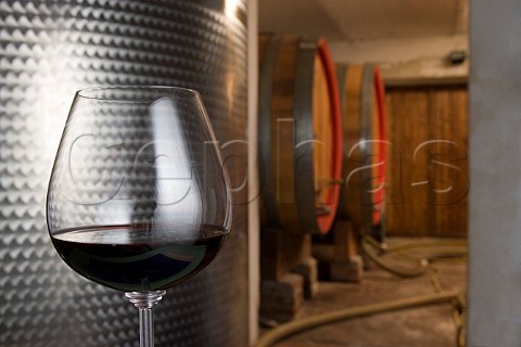 Glass of Barolo Serralunga wine in the cellars of   Giovanni Rosso Serralunga dAlba Piemonte Italy   Barolo