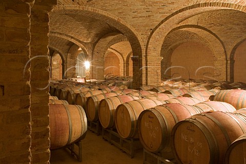 Barrel cellar at Negro Angelo e Figli Monteu Roero   Piemonte Italy Roero
