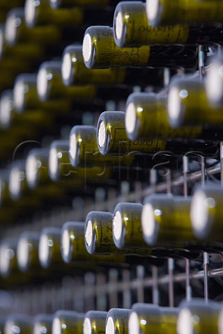 Bottle cellar at Negro Angelo e Figli Monteu Roero   Piemonte Italy Roero