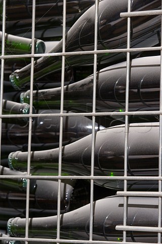 Bottle cellar at Negro Angelo e Figli Monteu Roero   Piemonte Italy Roero