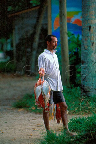 Man holding freshly caught fish Beau  Vallon bay Mah Seychelles Indian Ocean