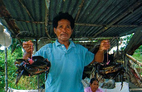 Man selling crabs Sabah Borneo