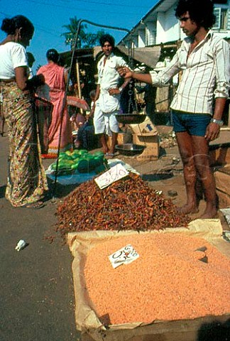 Selling lentils and chillies in Mount Lavinia market Sri Lanka