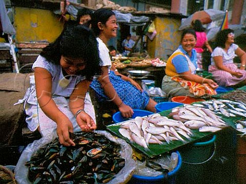 Fish and seafood market in Tondo district of Manila  Philippines