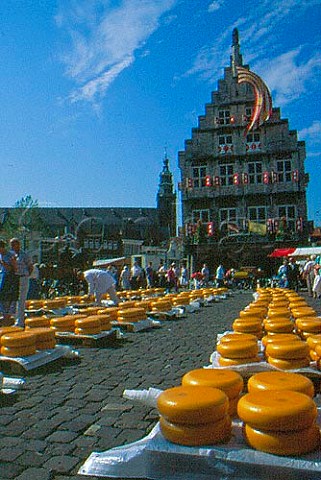 Cheese market with Gothic town hall   behind Gouda ZuidHolland Netherlands